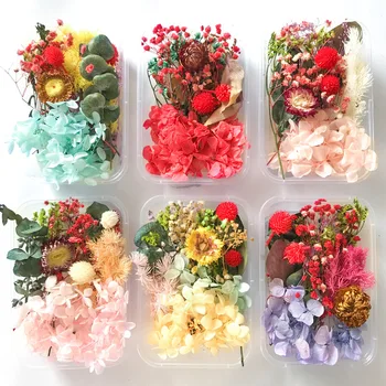 1 кутия Цветни Сушени цветни глави на Растения за Епоксидна Смола Висулка Колие Бижута Производство на Свещи Занаят САМ Аксесоари за дизайн на ноктите